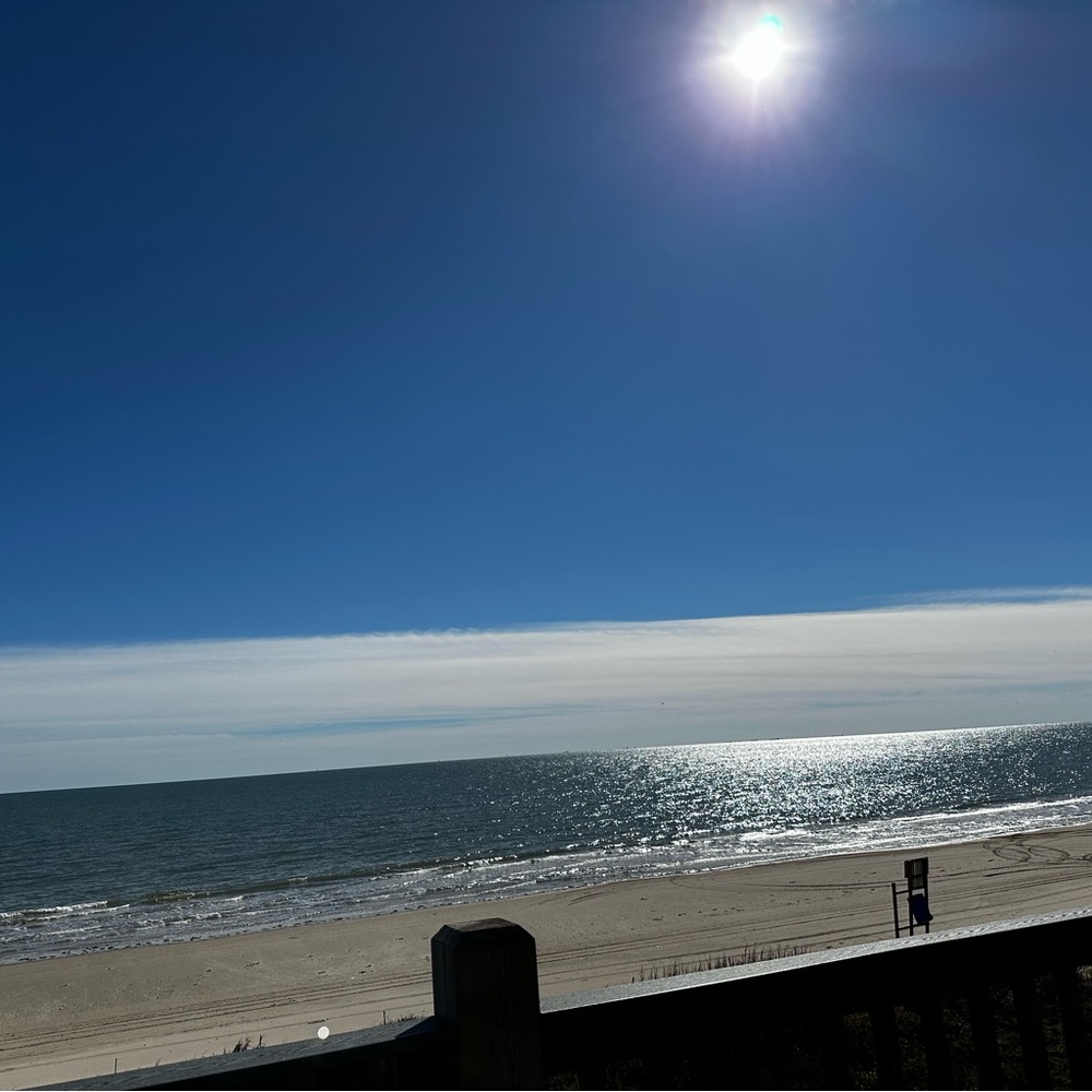 Meet your Posher, Suzy